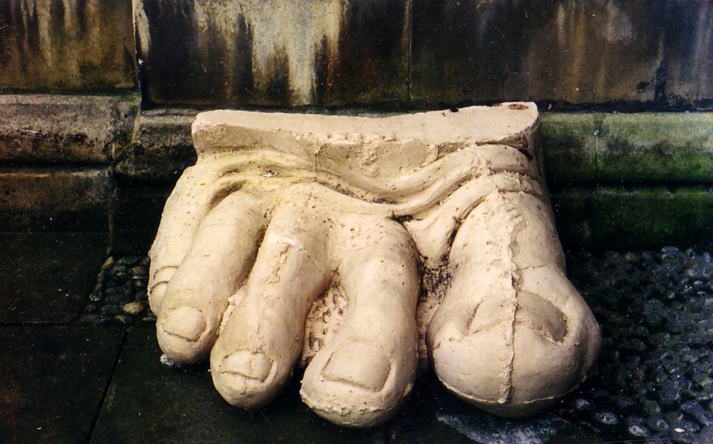Plaster toes